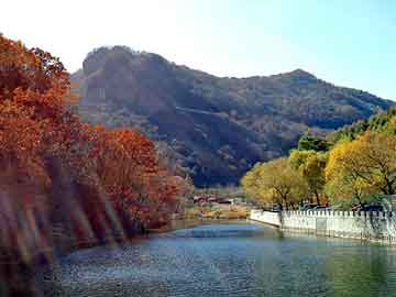 小甜甜 台湾，黑帽seo报价